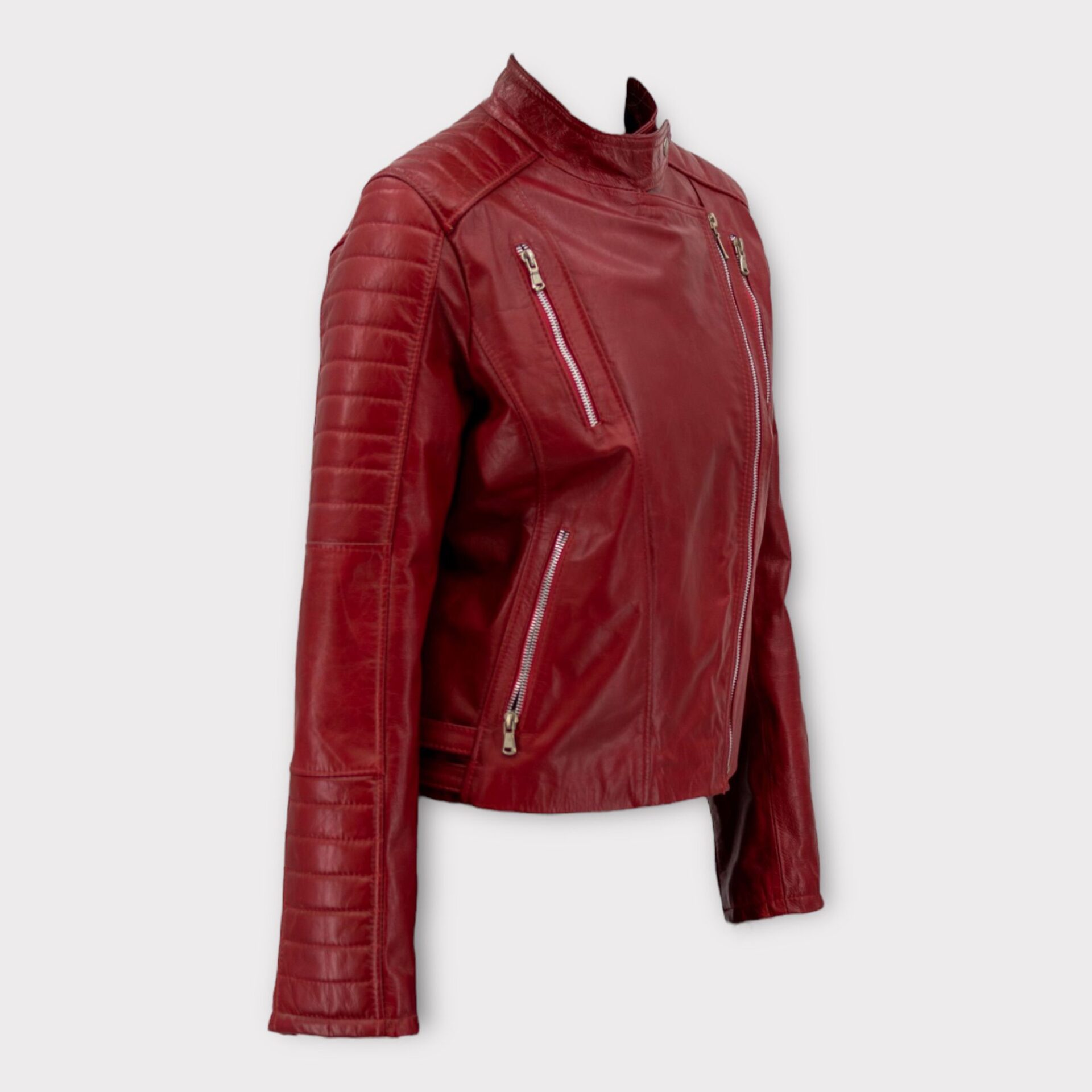 Campera tipo motoquera Day